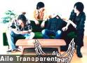 Aile Transparent