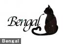  Bengal 
