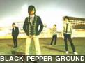 BLACK PEPPER GROUND