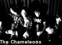 The Chameleons