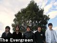 The Evergreen