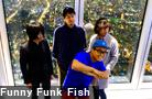 Funny Funk Fish  