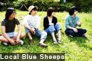 Local Blue Sheeps