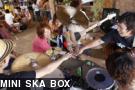 MINI SKA BOX