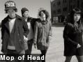 Mop of Head