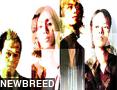 NEWBREED