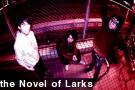 the Novel of Larks
