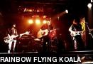 RAINBOW FLYING KOALA