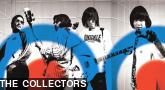 THE COLLECTORS