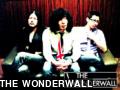 THE WONDERWALL