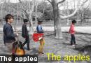 The apples