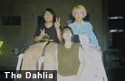  The Dahlia 