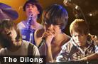  The Dilong 