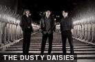  THE DUSTY DAISIES 