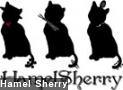 Hamel Sherry