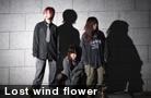  Lost wind flower 