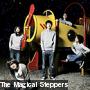 The Magical Steppers