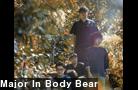 Major In Body Bear