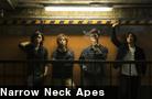 Narrow Neck Apes   