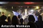  Antarctic Monkeys 