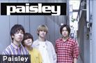  Paisley 