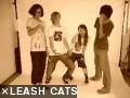 ~LEASH CATS