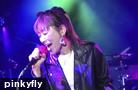  pinkyfly 