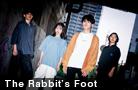  The Rabbit's Foot 