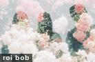  roi bob 