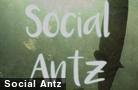  Social Antz 