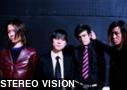 STEREO VISION