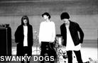SWANKY DOGS 