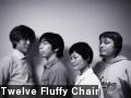 Twelve Fluffy Chair