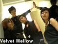 Velvet Mellow
