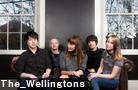 The_Wellingtons 