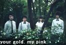 your gold. my pink